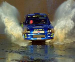 Puzzle Ράλι WRC - Περνώντας το νερό